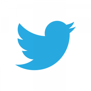 lg_Twitter-bird-blue-on-white_logo